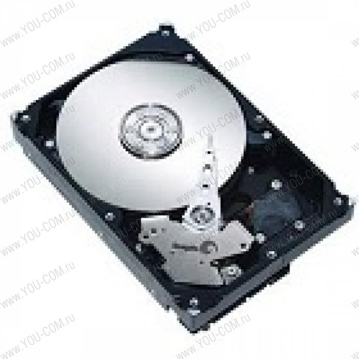 300GB SFF NHP SAS 10K 6G Hard Drive for RS140