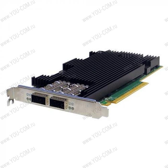 PE3100G2DQIR-QX4 Dual Port Fiber 100GBE PCIe Gen3 Server Adapter